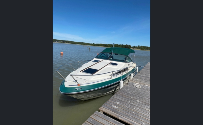 Sea Ray Weekender 230-kuva-4